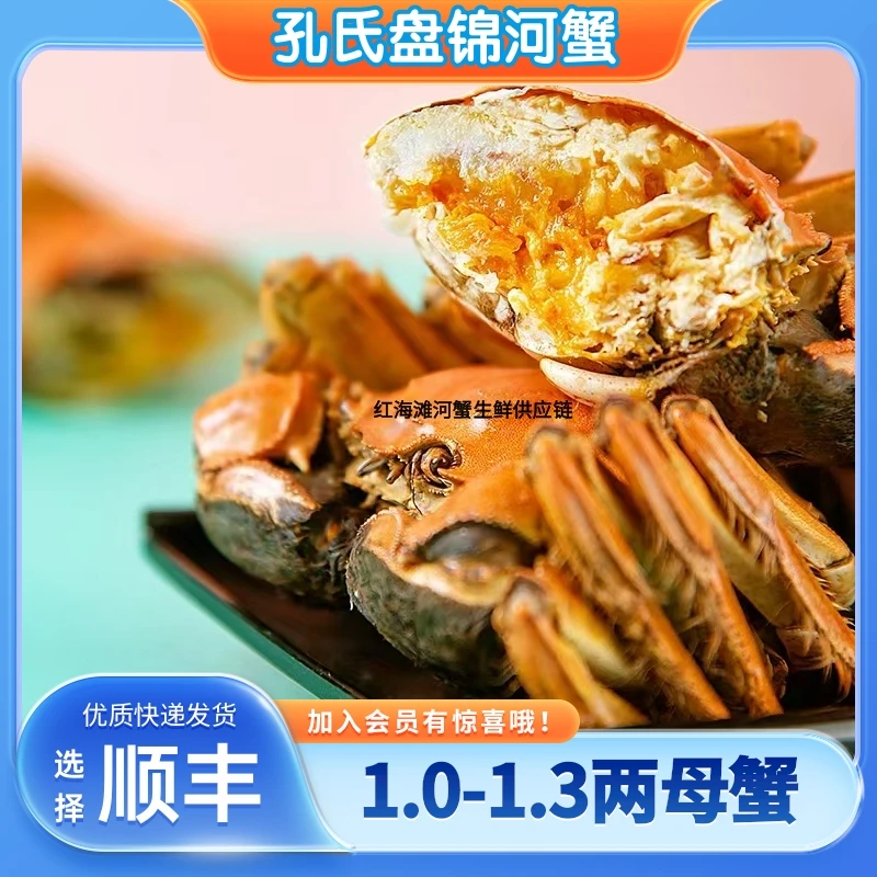 【活蟹】盘锦河蟹母蟹每只1.0-1.3两左右2斤起拍