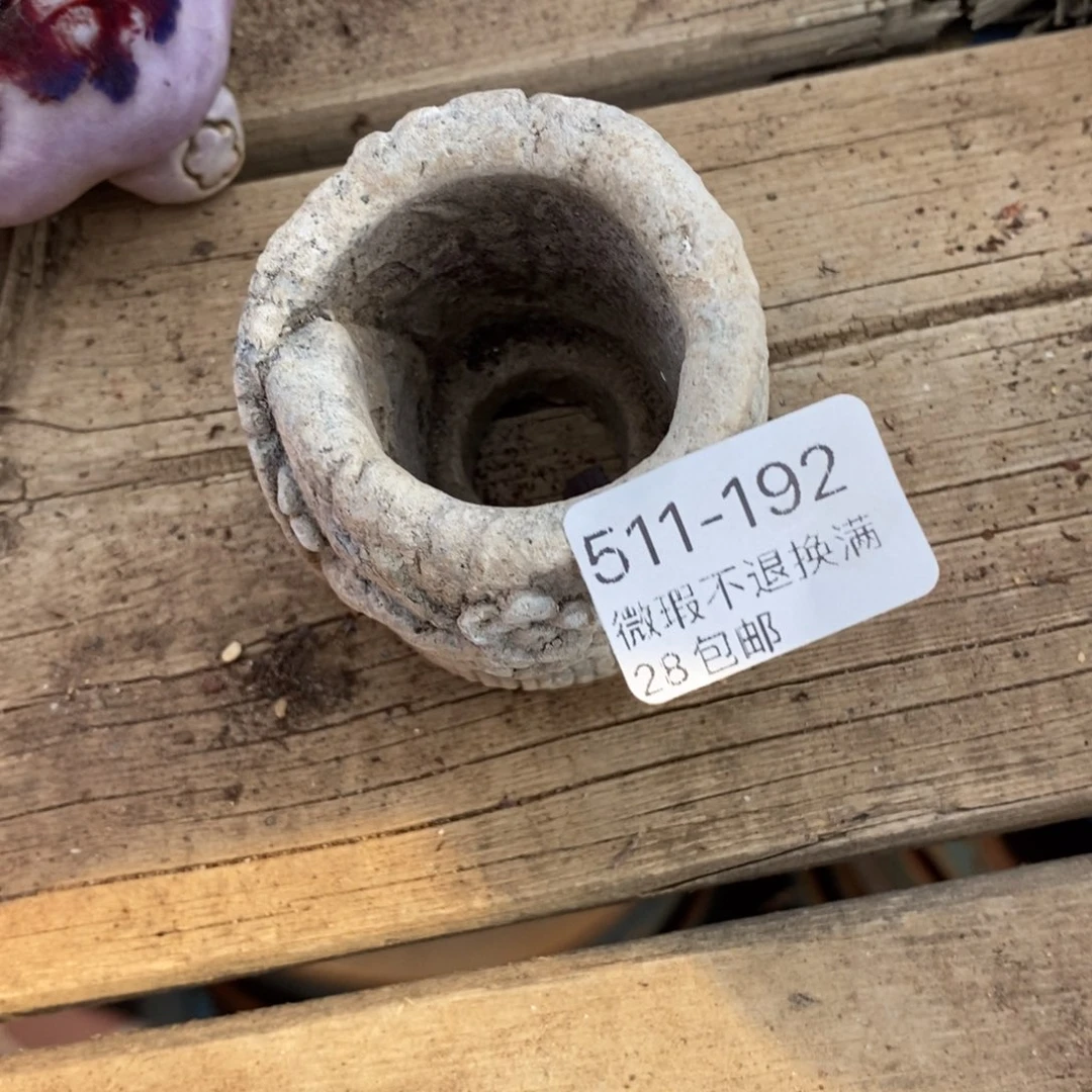 西**y192号多肉盆小可爱