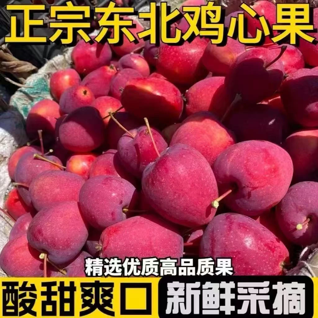 东北特产鸡心果新鲜采摘脆甜多汁现摘现发