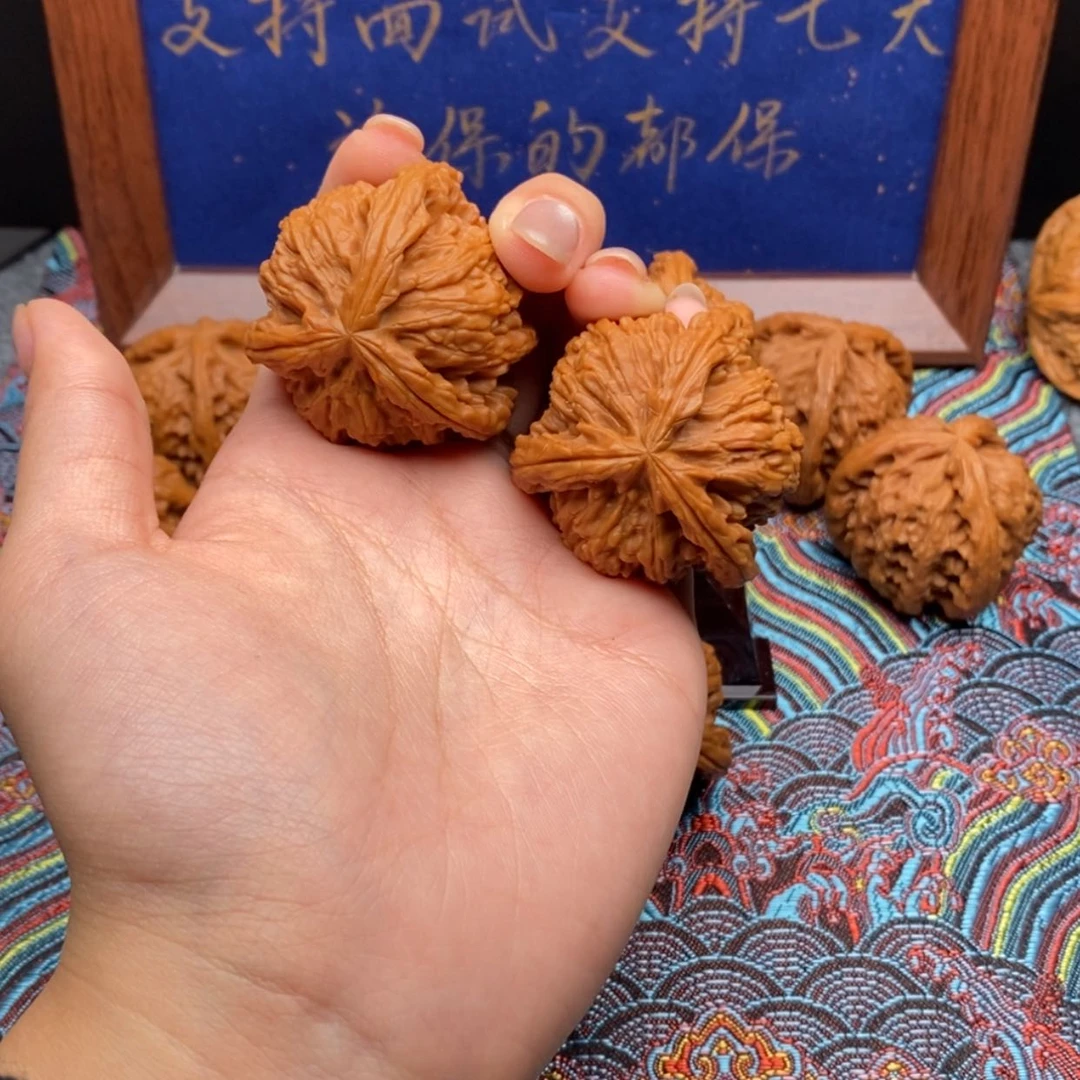 【闪购商品】山****车白狮子11111