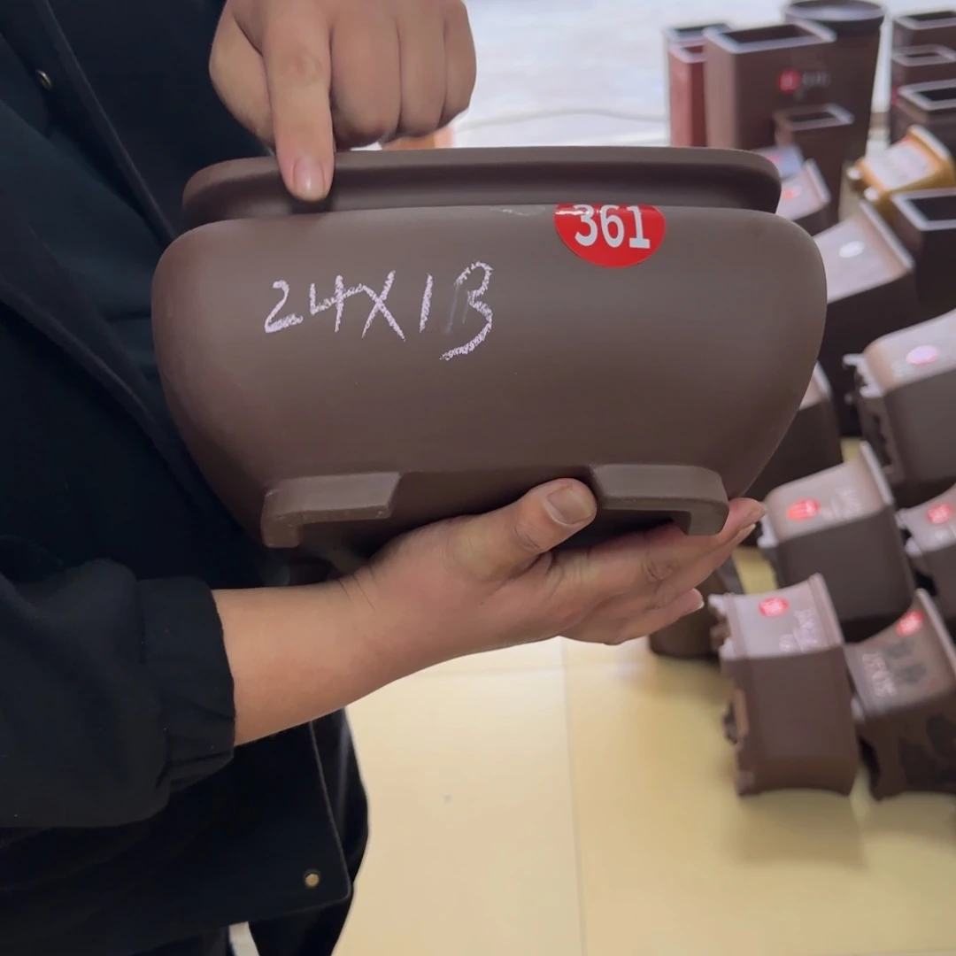 紫砂花盆我呜呜呜呜呜呜