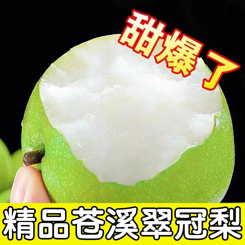 【苍溪翠冠梨】四川梨子苍溪脆冠梨皮薄甜梨子新鲜水果甜脆梨子脆梨