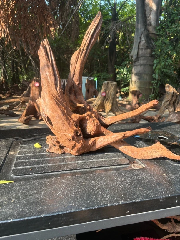 云南一手货源沉木