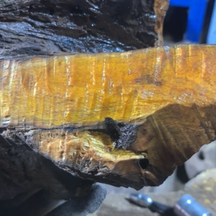 【闪购商品】贡木其他眼*私人订制