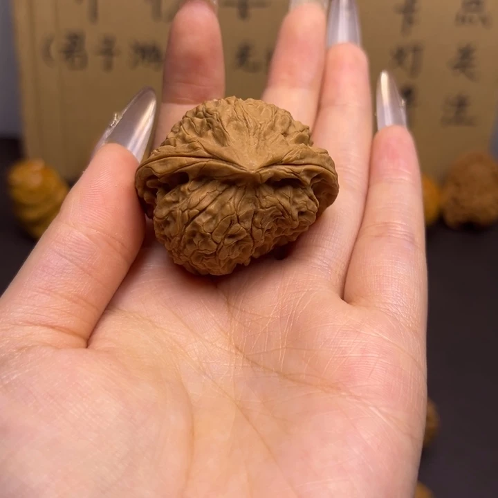 用***5菩提籽类蛇单只异型有瑕