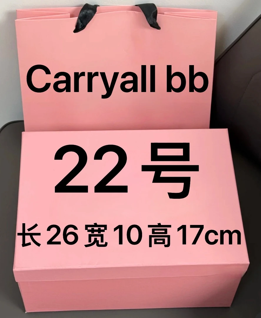【22号】2025新款斜跨包carryall bb 1019#