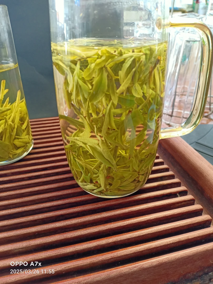 2025高山龙井茶3号A绿茶