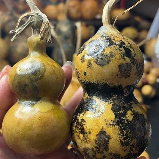 静**.葫芦葫芦葫芦葫芦