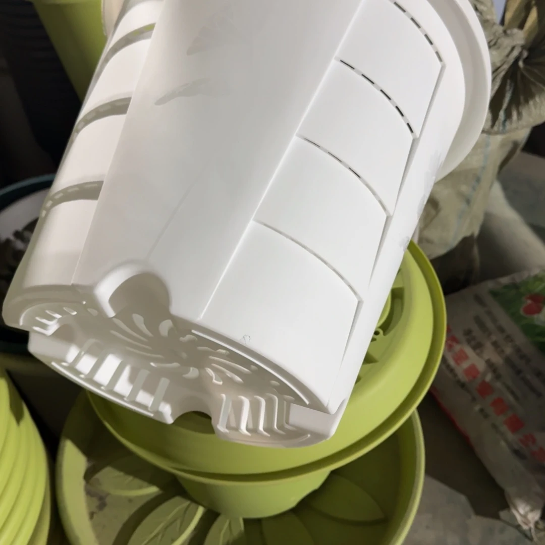 测7号2个白色的口径40