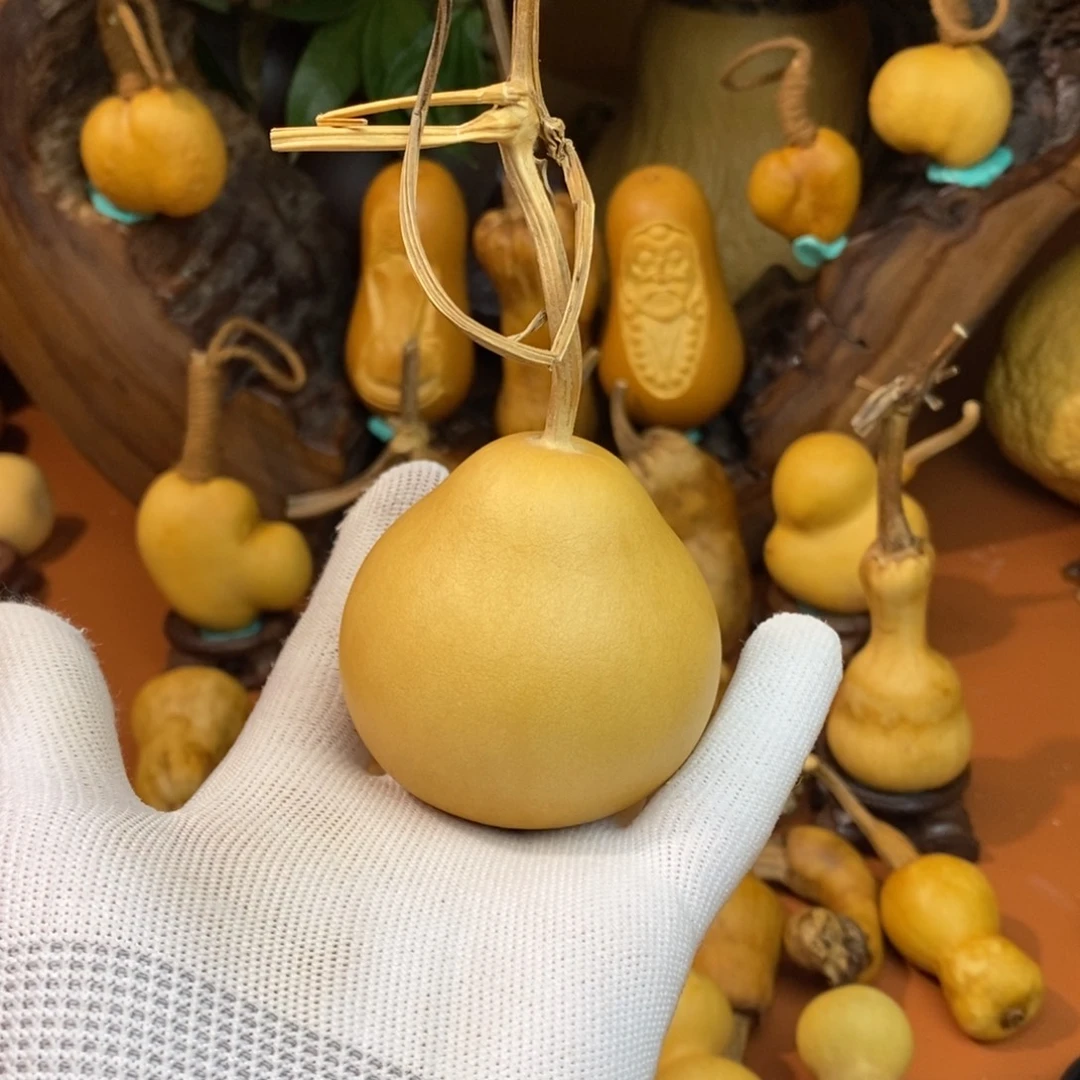 舞***亂哭了哭哭哭哭了教练咯