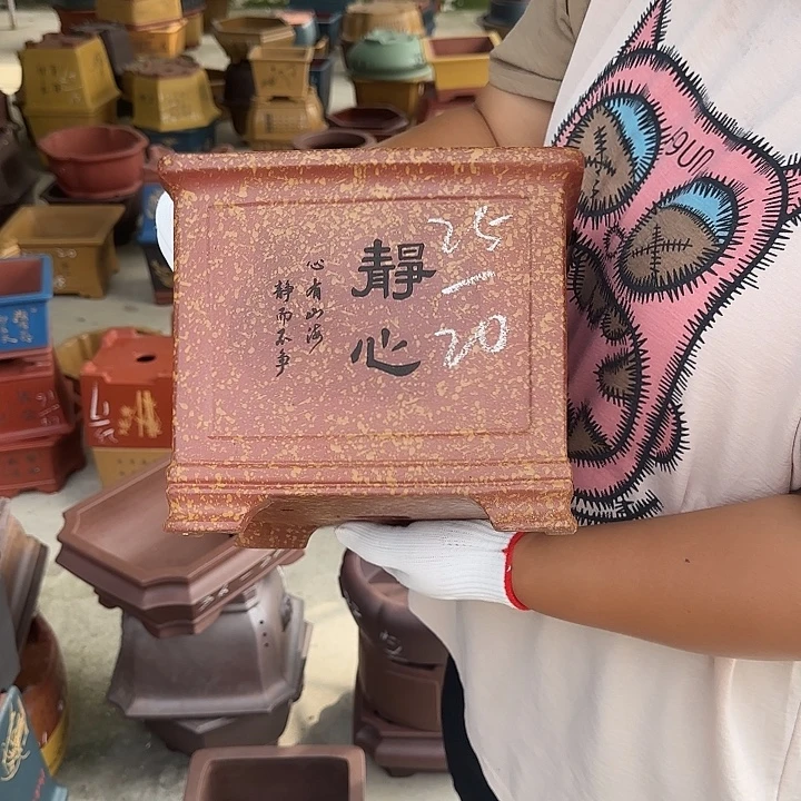 是因为她没有那么想过