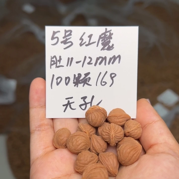 木质类雕刻料11～12 100颗