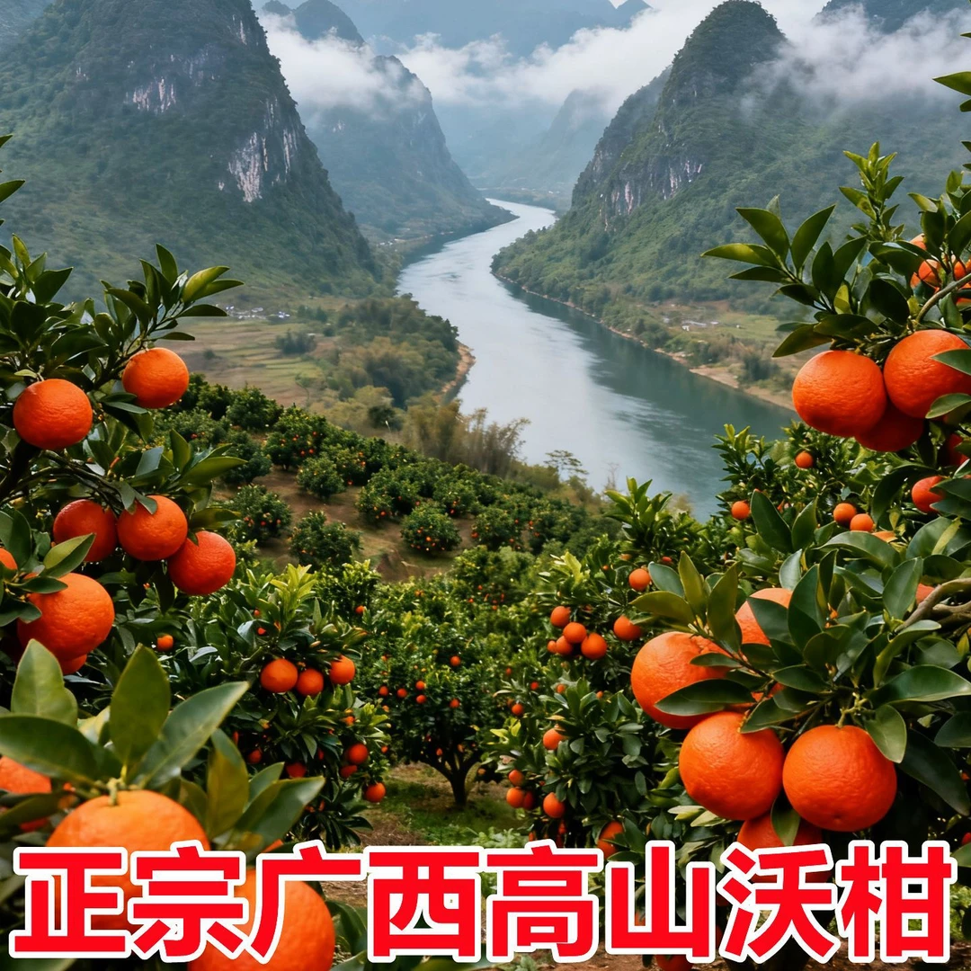 正宗广西沃柑水果5斤桔子武当季鸣新鲜沃柑蜜橘柑橘皇后套袋现摘