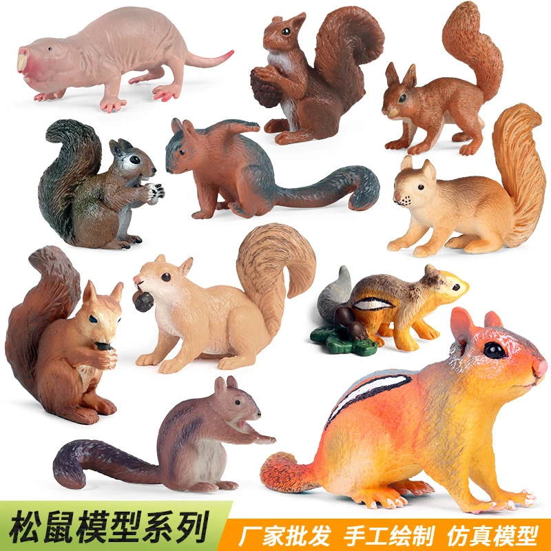 宝宝认知动物模型