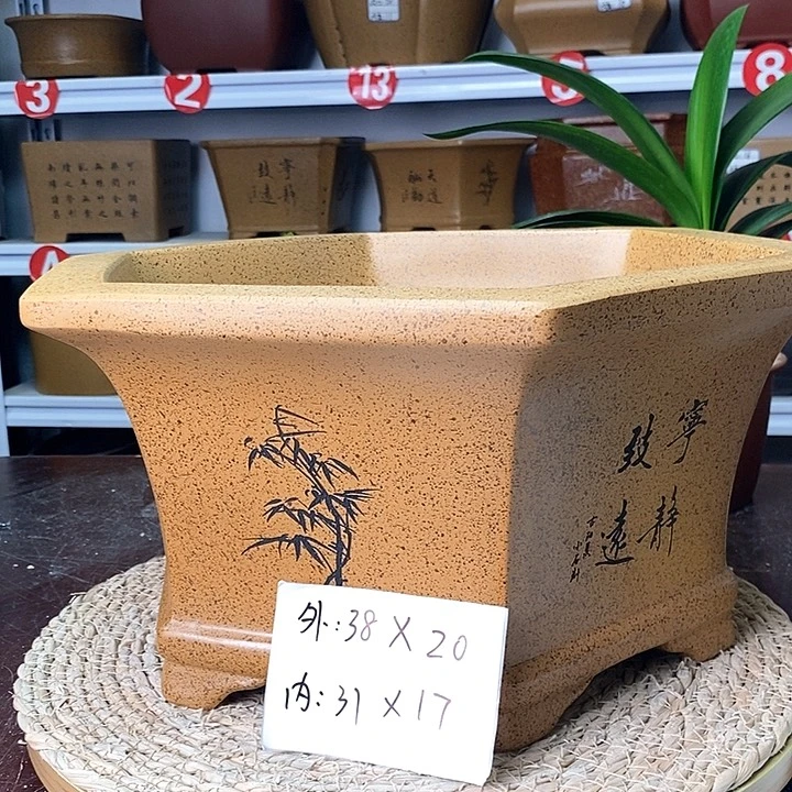紫砂花盆今天下午