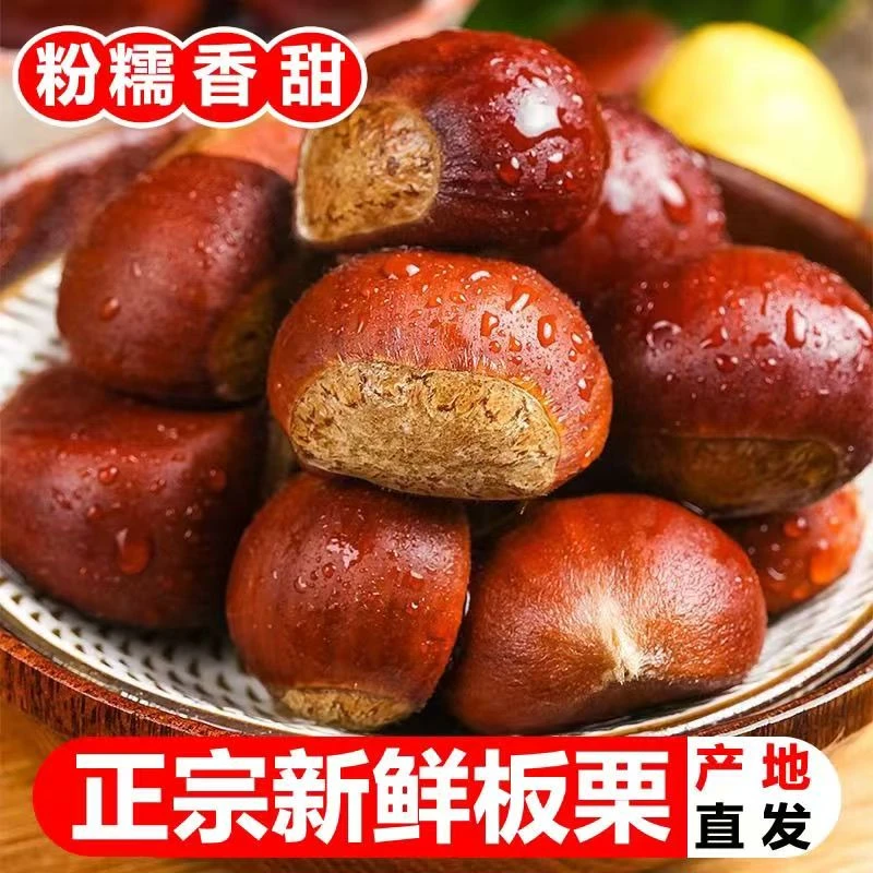 新鲜现摘高山板栗香甜可口买三送二