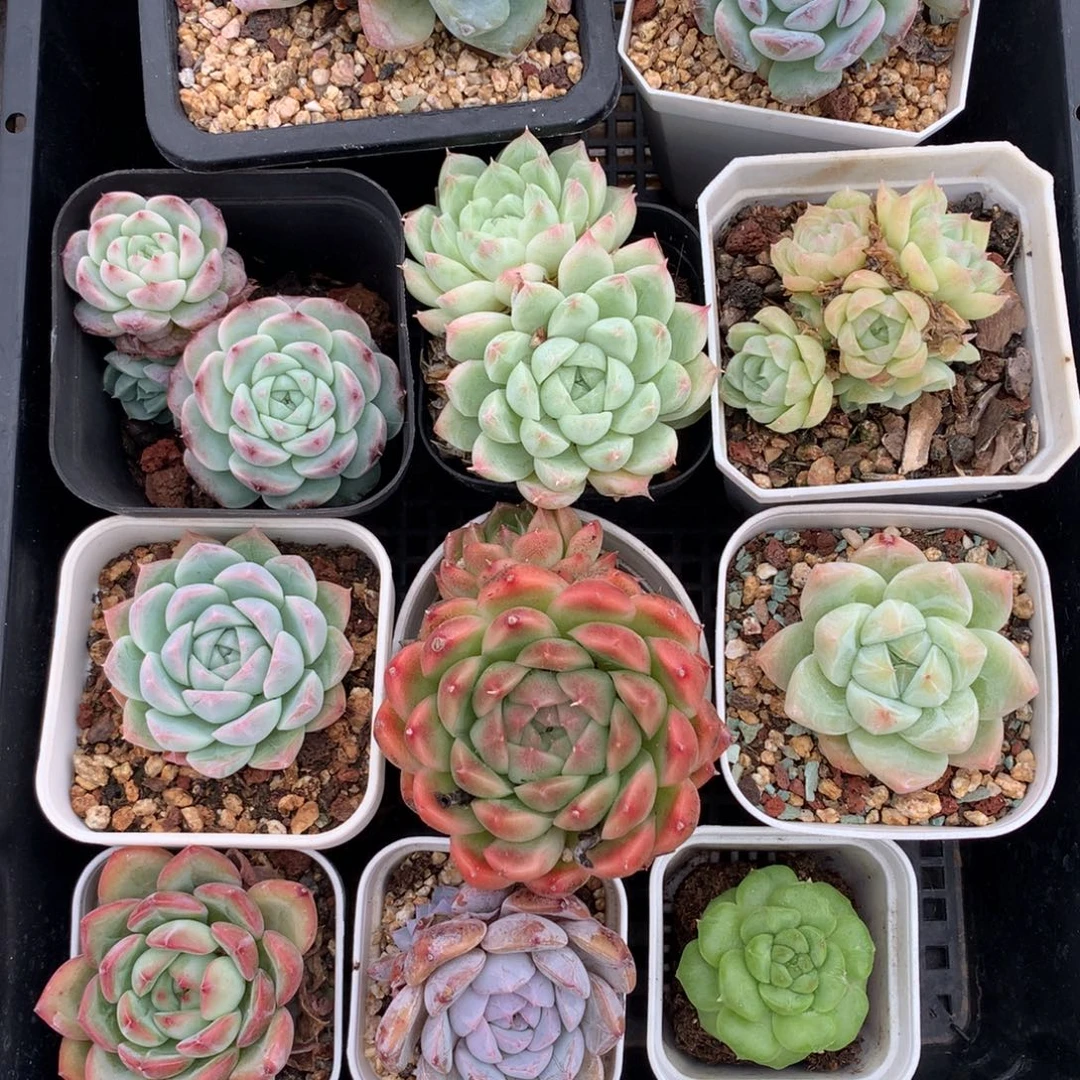 1104-15 套餐一组