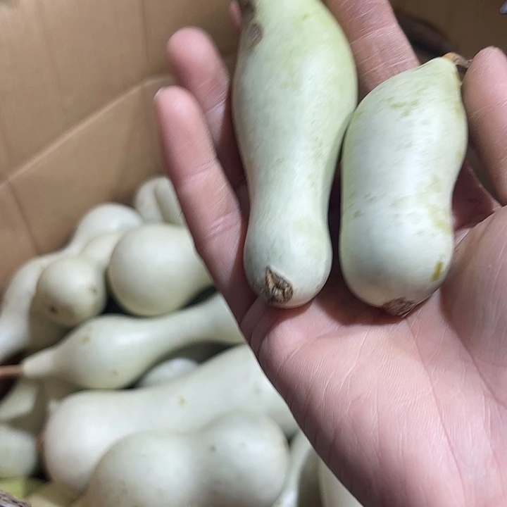 非洲紫檀（红花梨）洋*