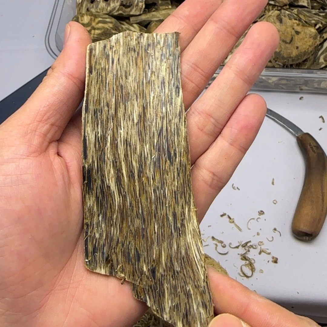 沉香沉香碎屑［乌身圆叶］老白棋皮油熏香原材料10克