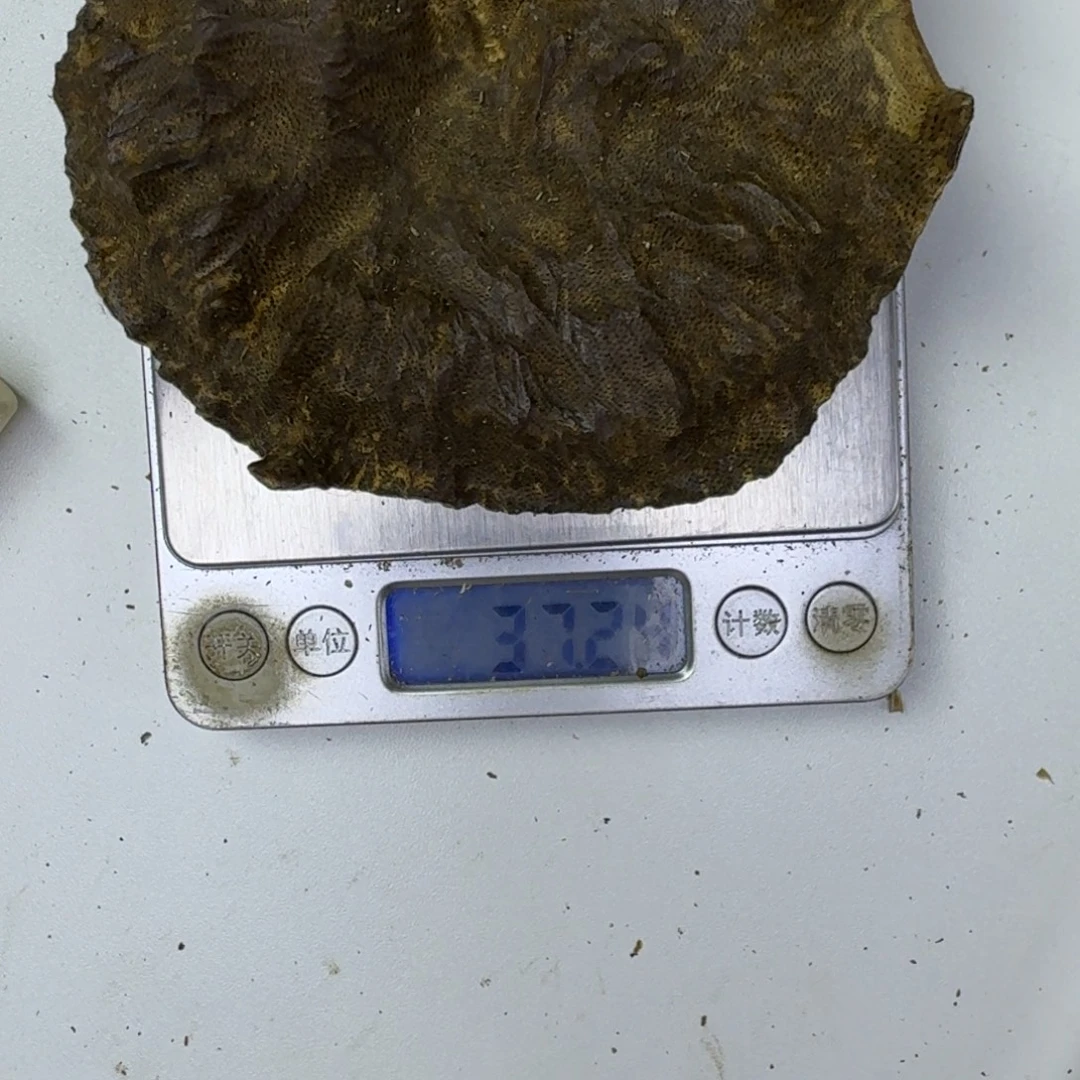 心***语沉香沉香碎屑沉香碎屑包头37.2