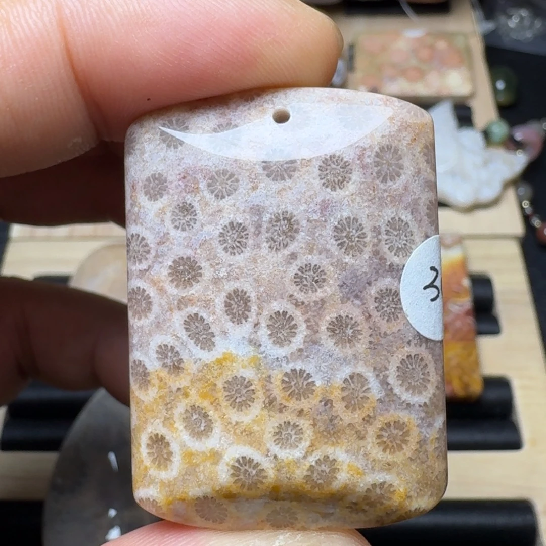 未镶嵌纯天然色有机玉石保真色硅化玉