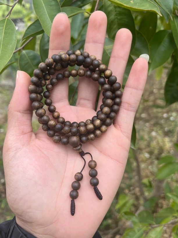 奇楠沉香0.6油叶子12克多样性发一