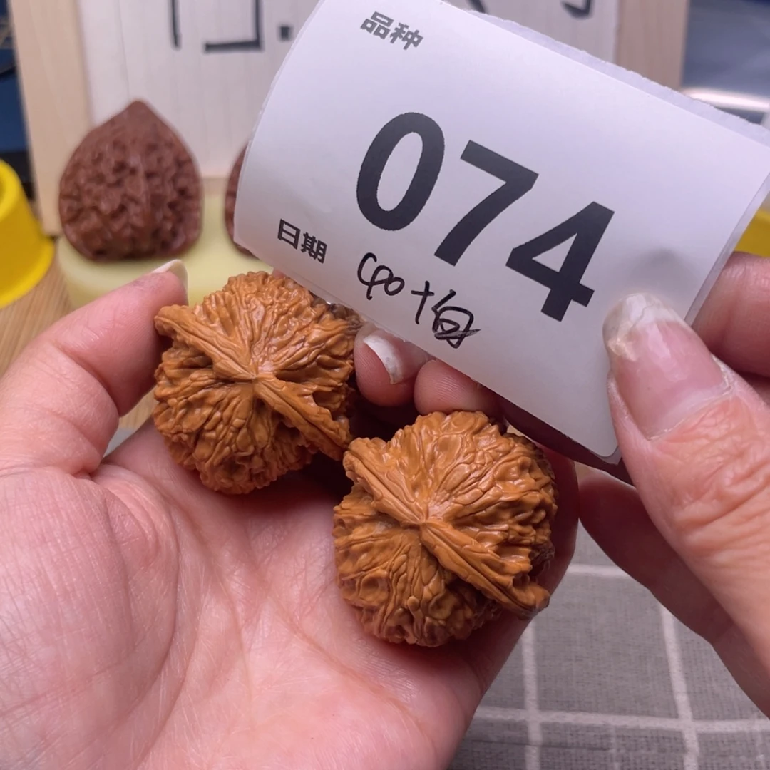把件文玩核桃74号40白狮子