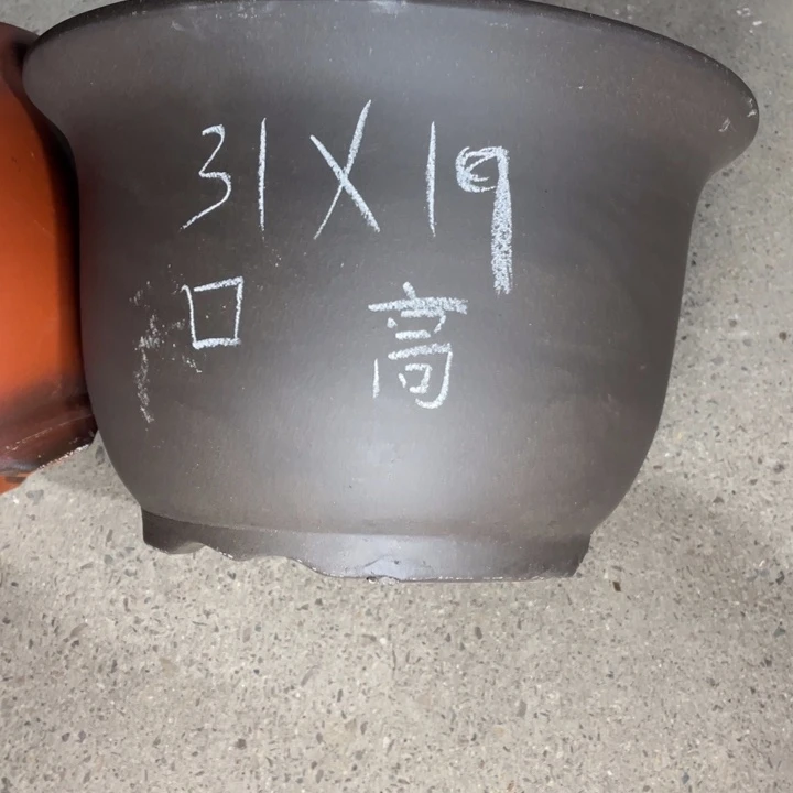 周深周深周深周深走