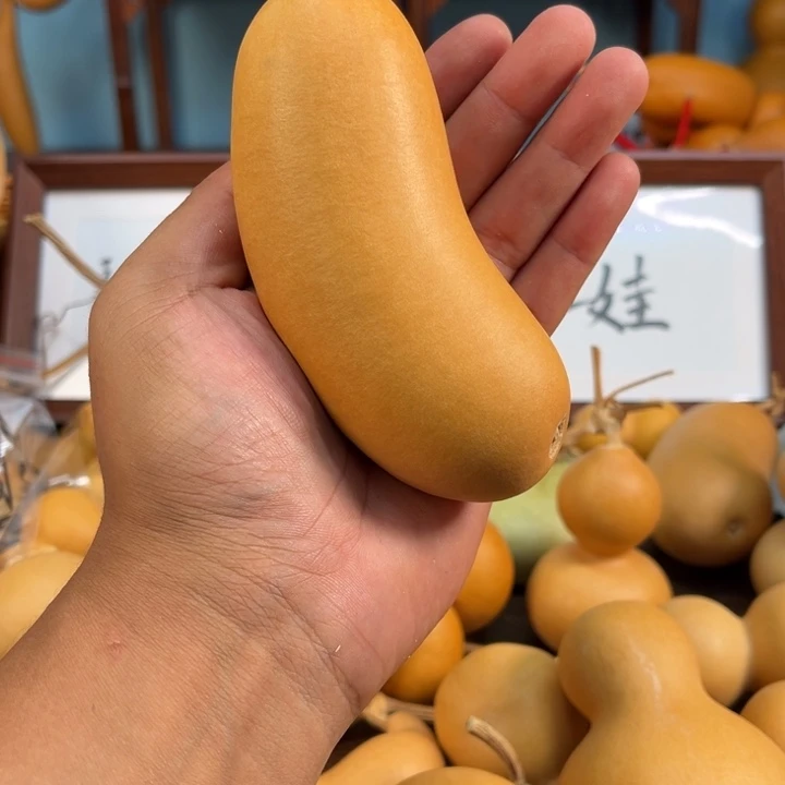 3***2啊啊啊啊啊啊啊啊