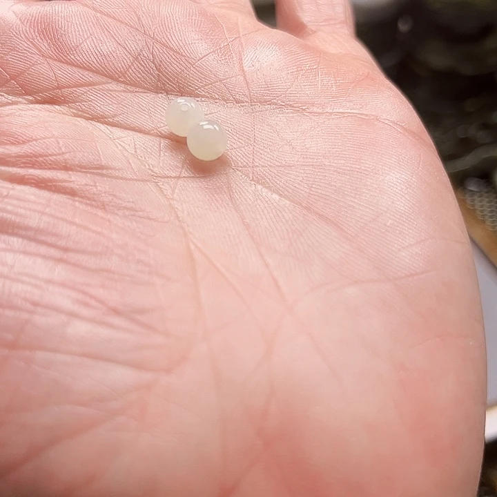 碧石珠宝奇石合金