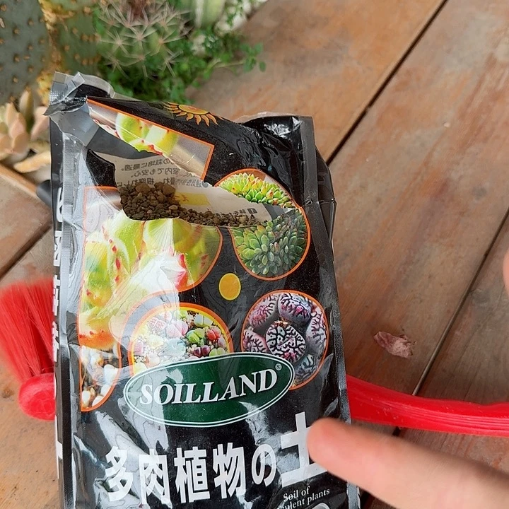 一包土多肉植物多肉