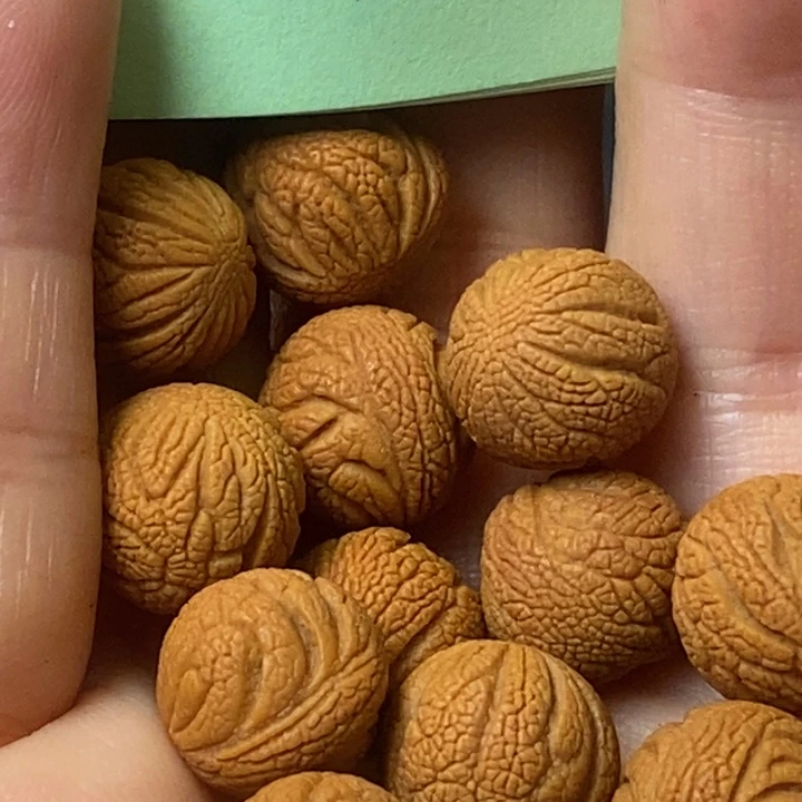 桃核吊坠秦岭山野生桃核