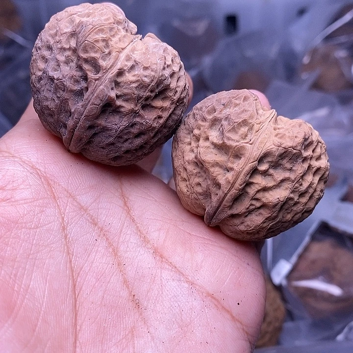 把件文玩核桃   203