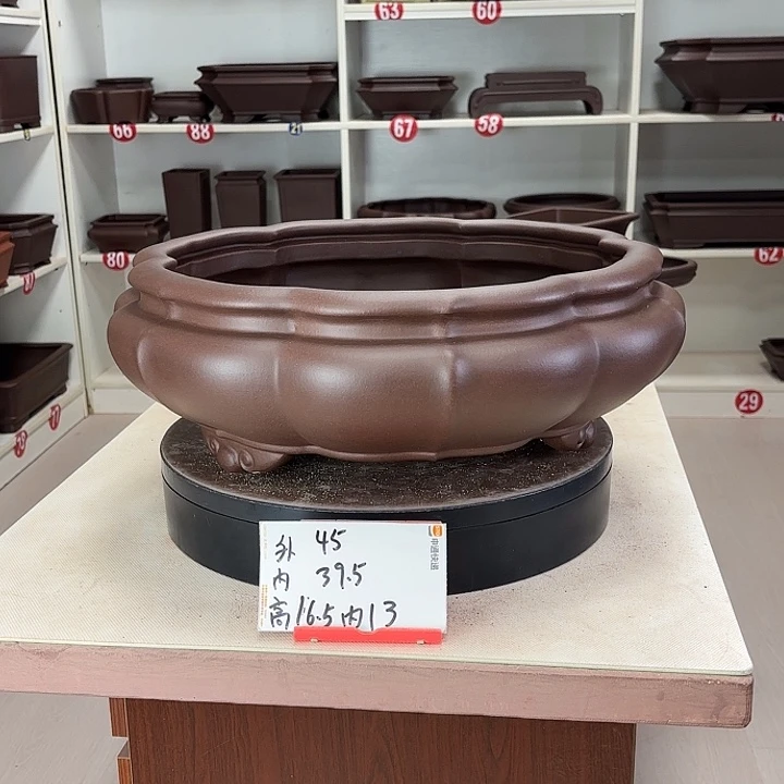 紫砂花盆莲台观心大