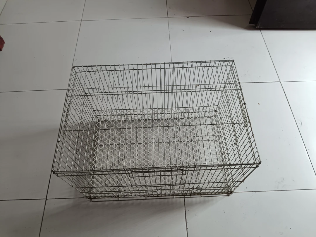 大号运输鸟笼子美观大方