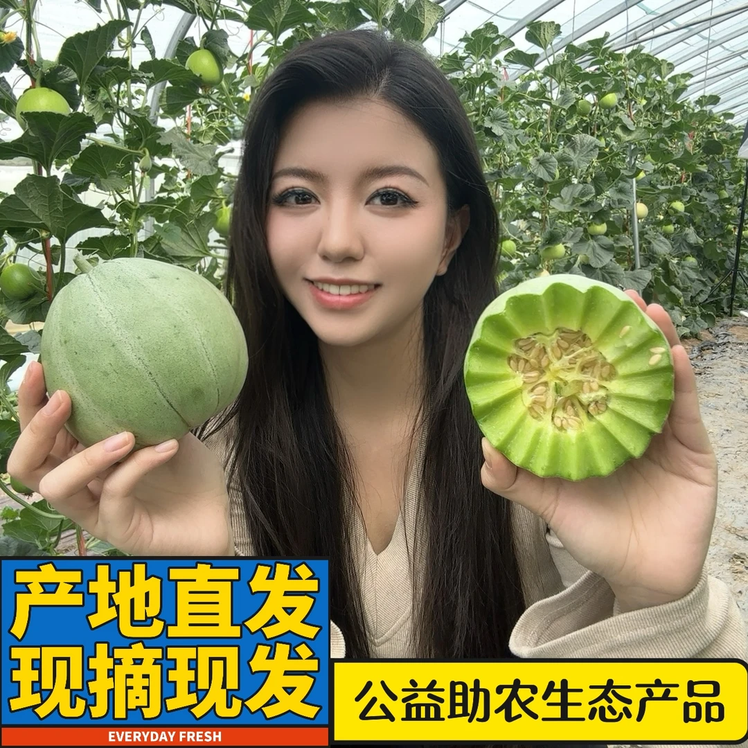【现摘头茬】绿宝石甜瓜香瓜脆甜瓜农家香脆甜多汁应季水果花蕾新鲜