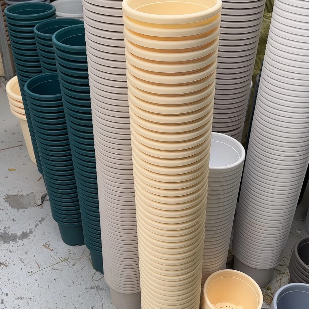 微瑕3号10个无托，米黄