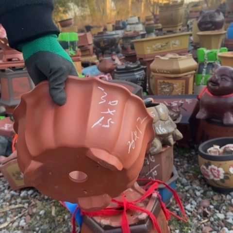 红陶紫砂花盆盆景盆栽