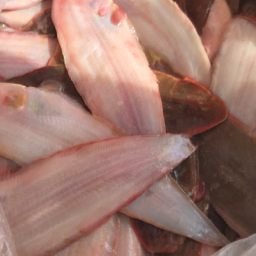 冰鲜舌头鱼500g（5-6条/斤）