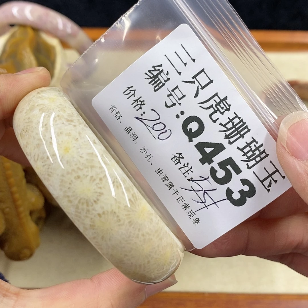 硅化珊瑚（珊瑚玉）1未镶嵌一*云