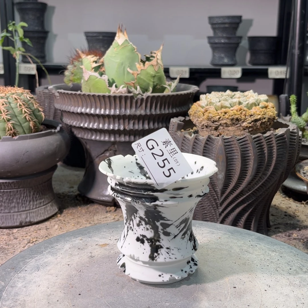 景德镇手工素里内口9.5高9.5