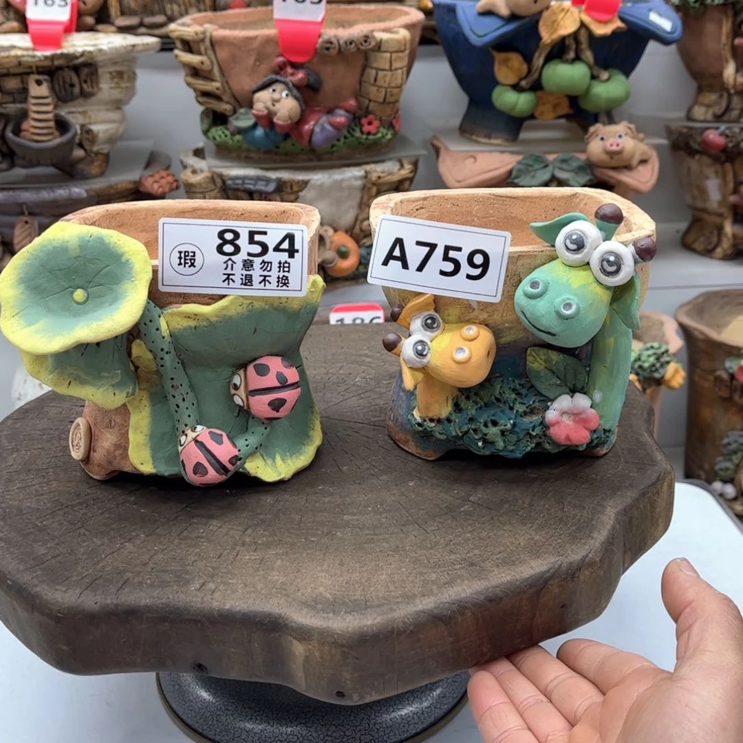 红陶蔡***肉花盆854759瑕疵菜