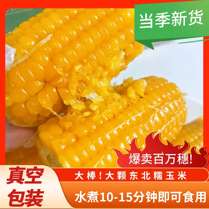 【试吃6根】14根东北头茬黄糯玉米真空锁鲜软糯香甜8-9斤xz
