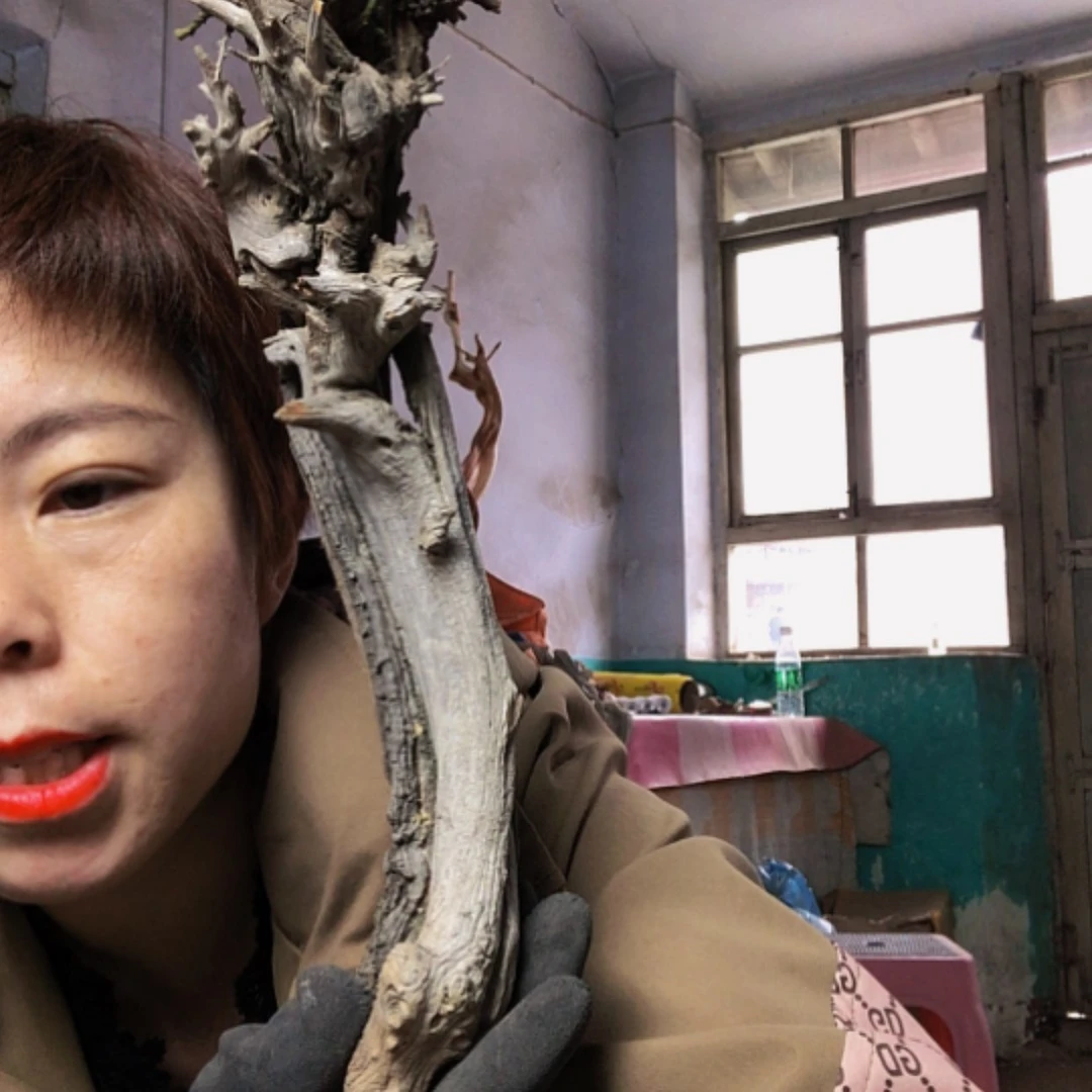 【闪购商品】香榧木D***n11111111111111