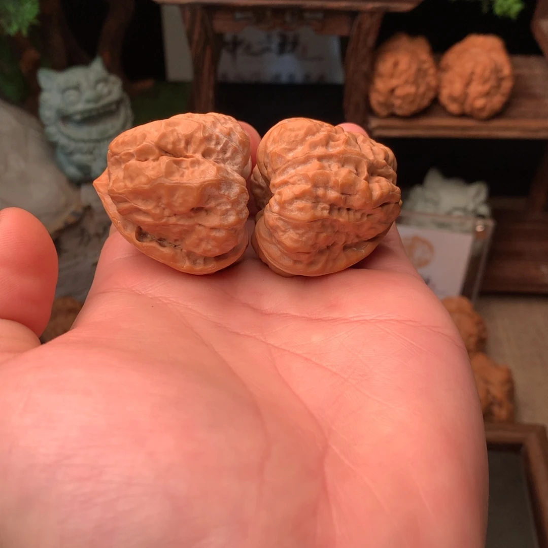 核桃40尺寸三角肌肉蛙