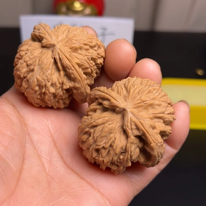 肯***珂桃核吊坠白狮子44