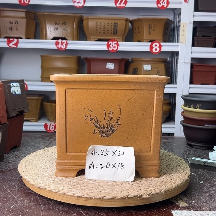 花盆紫砂蛇年大吉