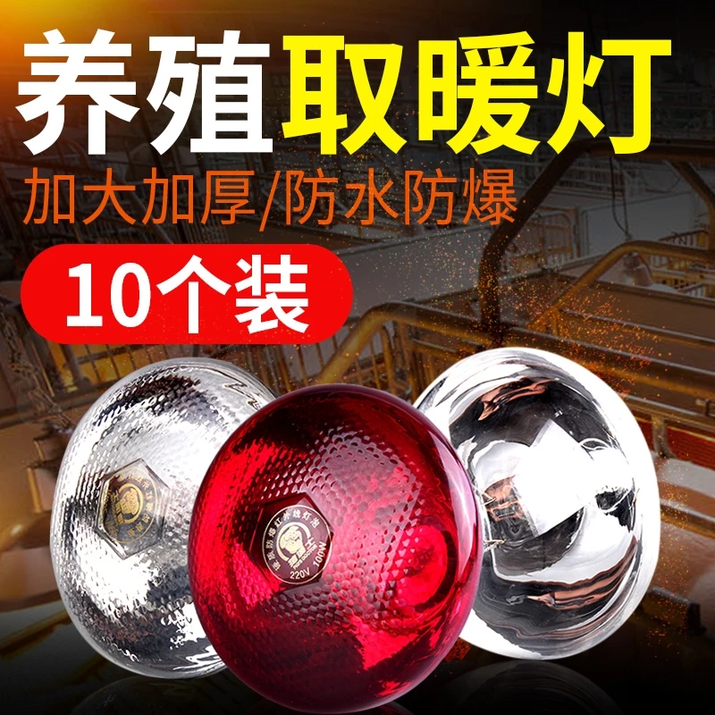 保温灯泡10个装养殖用