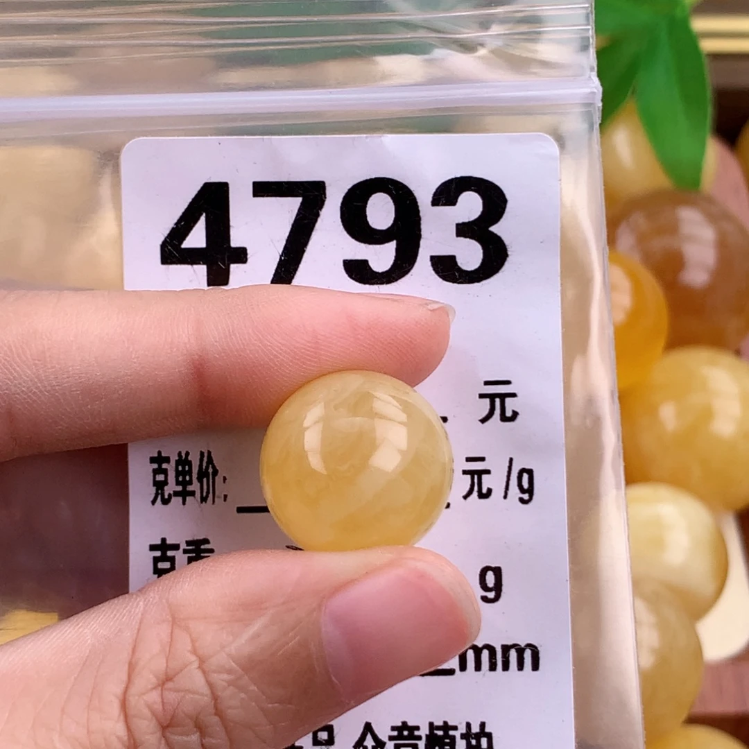 琥珀未镶嵌珠宝奇石16.6 植物