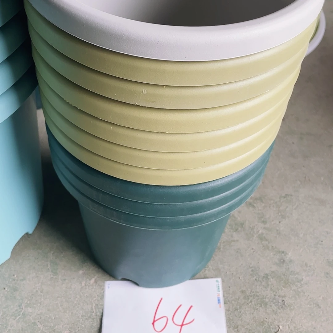 编号64编号64编号64